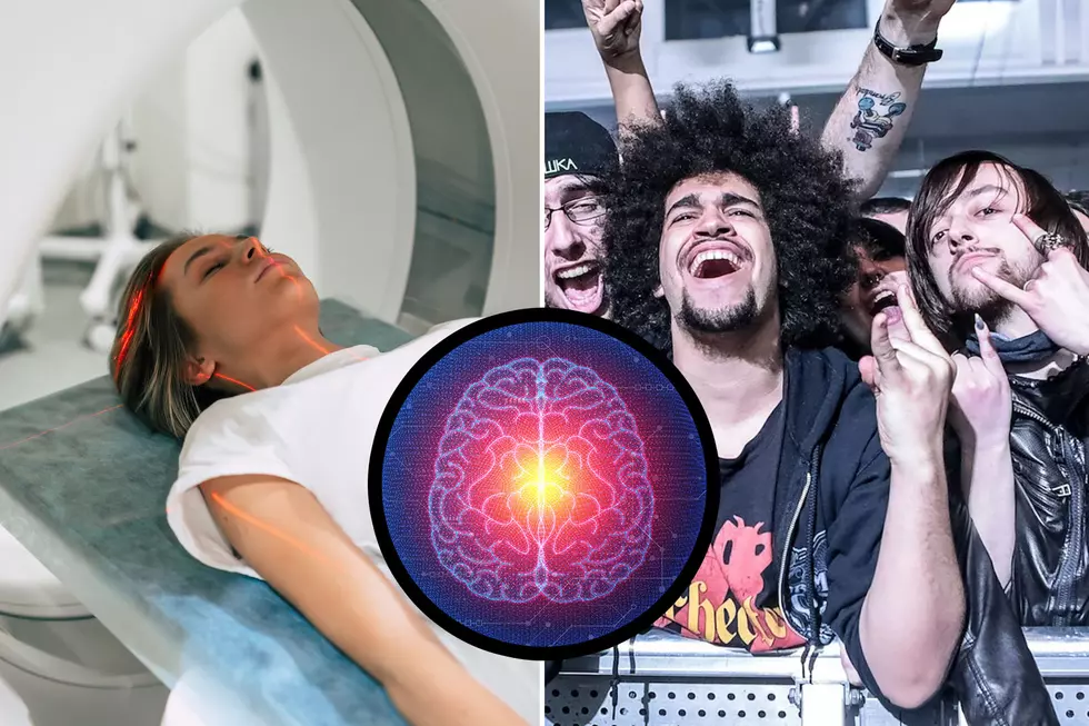 Neuroscientist Explains Why Our Brains Love Concerts So Much