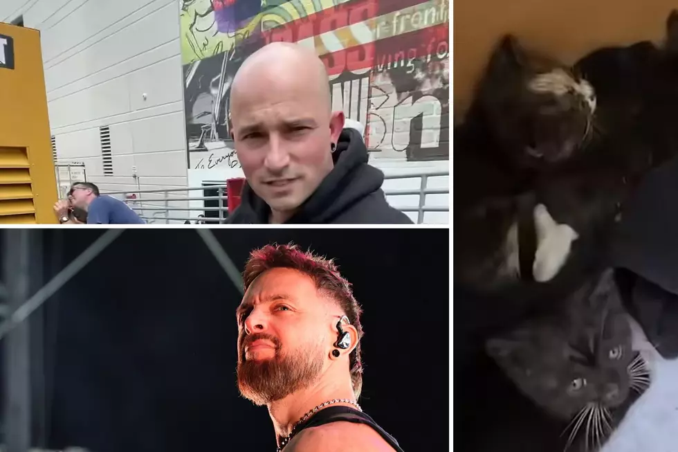 Watch Trivium + Bullet For My Valentine Rescue Abandoned Kittens From Diesel Generator