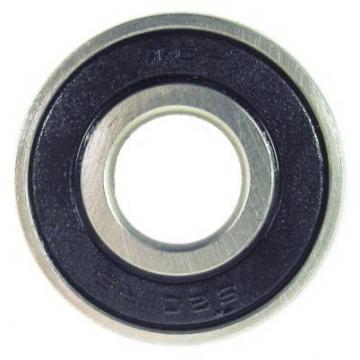 SKF NSK NTN Koyo Cylindrical Roller Bearings Np322m1