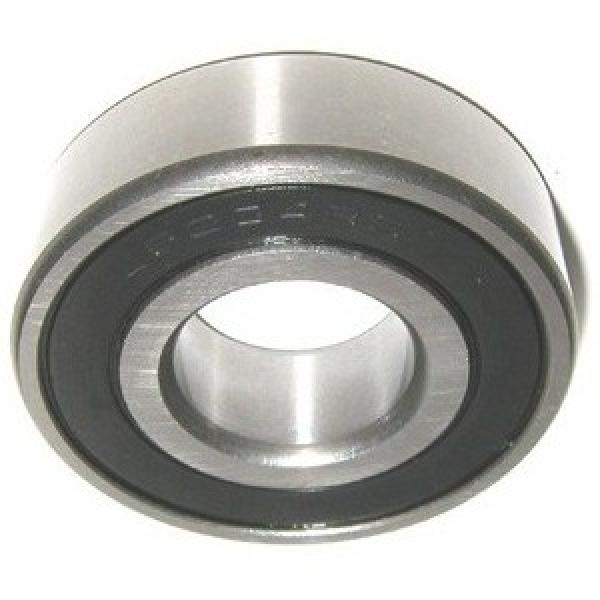 Inch Series Nu Type Double Row Cylindrical Roller Bearing #1 image