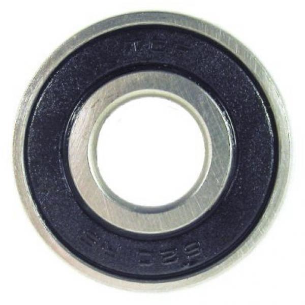 SKF NSK NTN Koyo Cylindrical Roller Bearings Np322m1 #1 image